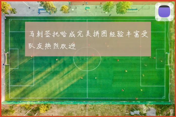 马刺签托哈成完美拼图经验丰富受队友热烈欢迎